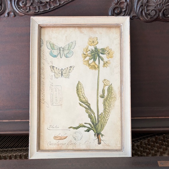 Other - Botanical Print with Butterflies in Wooden Frame